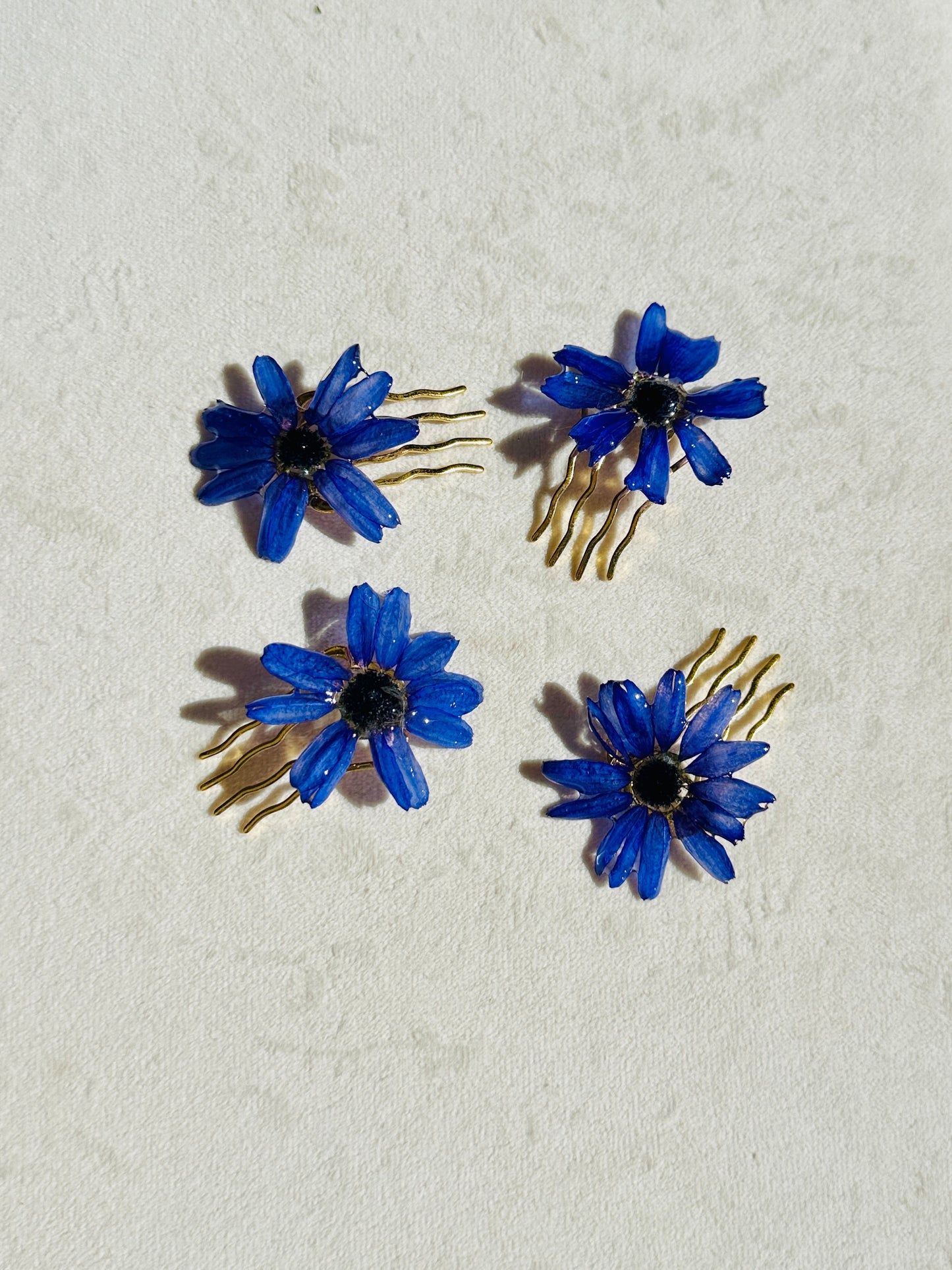 Blue Cineraria Hair Pins