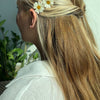 White Daisy Hair Pins