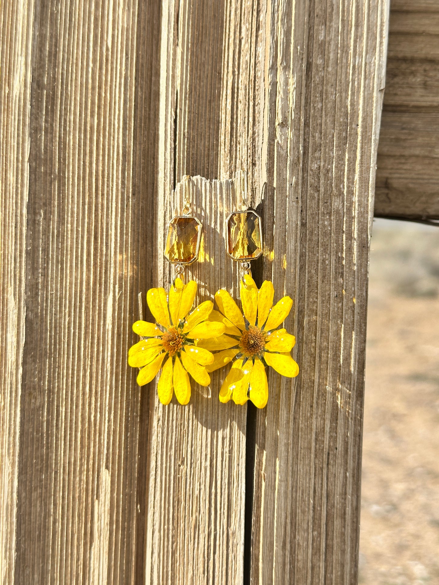 Wild Daisy Suncatchers