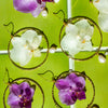 White Orchid Hoop Dangles