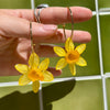 Daffodil Hoops