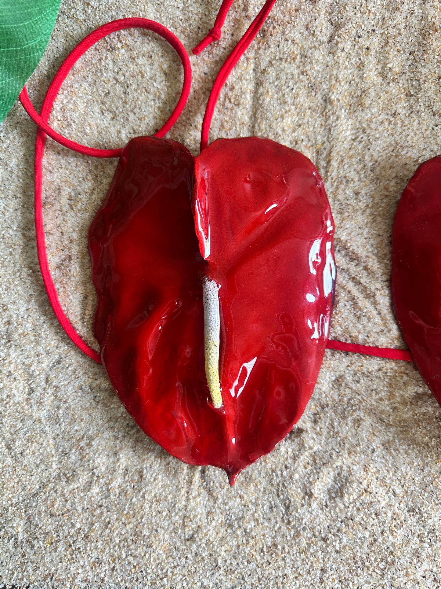 Anthurium Bikini Top