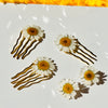 White Daisy Hair Pins