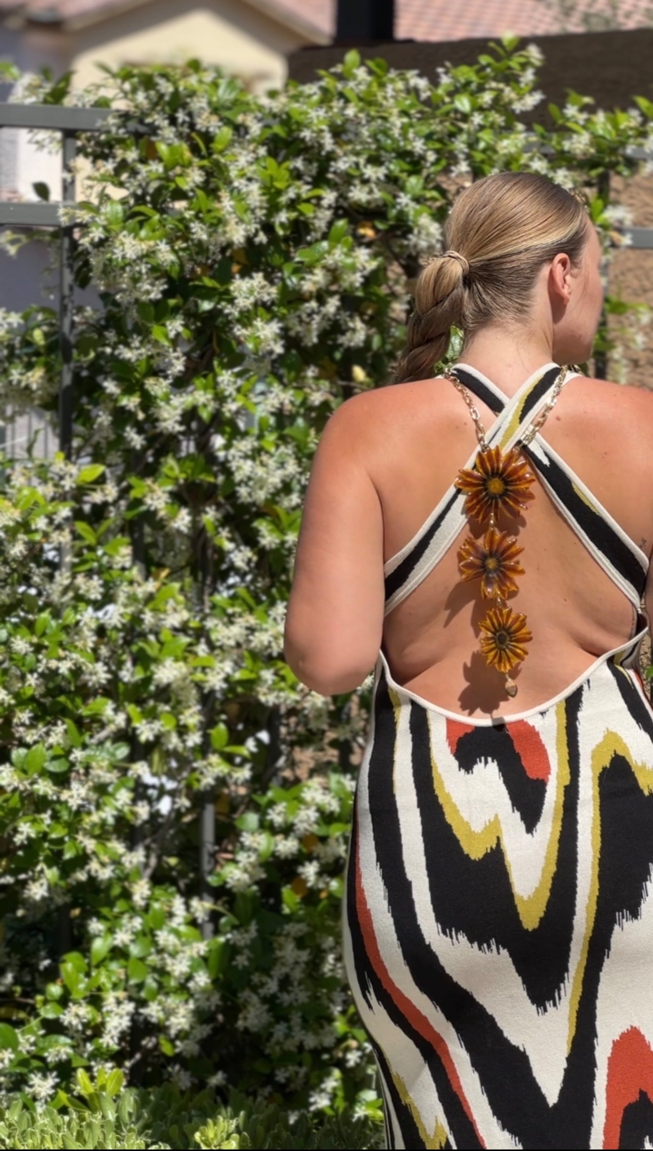 Sunset Gazania with Tigers Eye