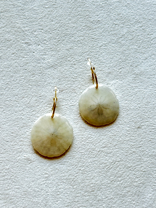 Sand Dollar Huggies