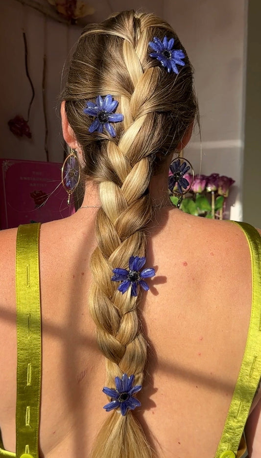 Blue Cineraria Hair Pins