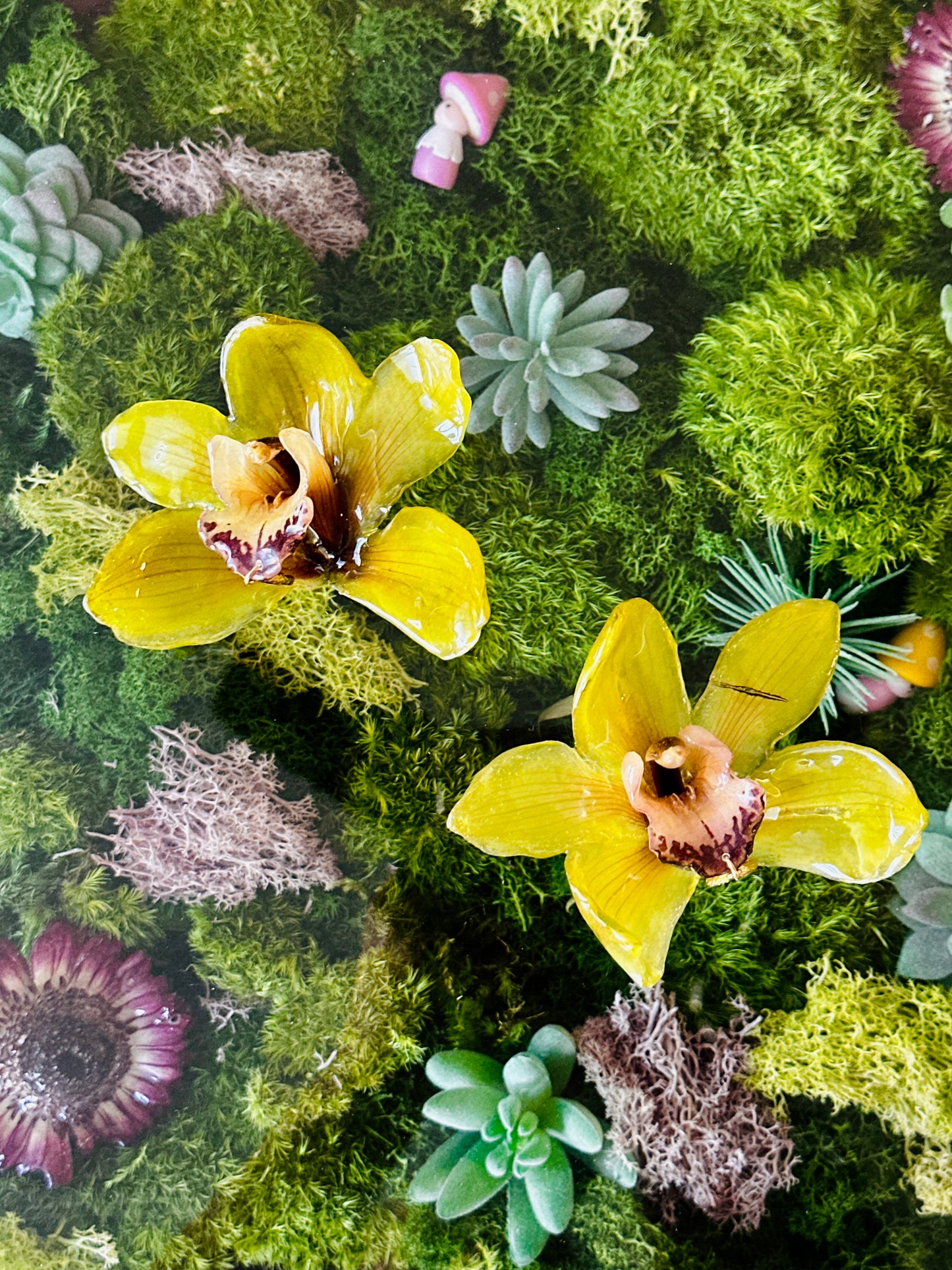 Green Cymbidium Clip