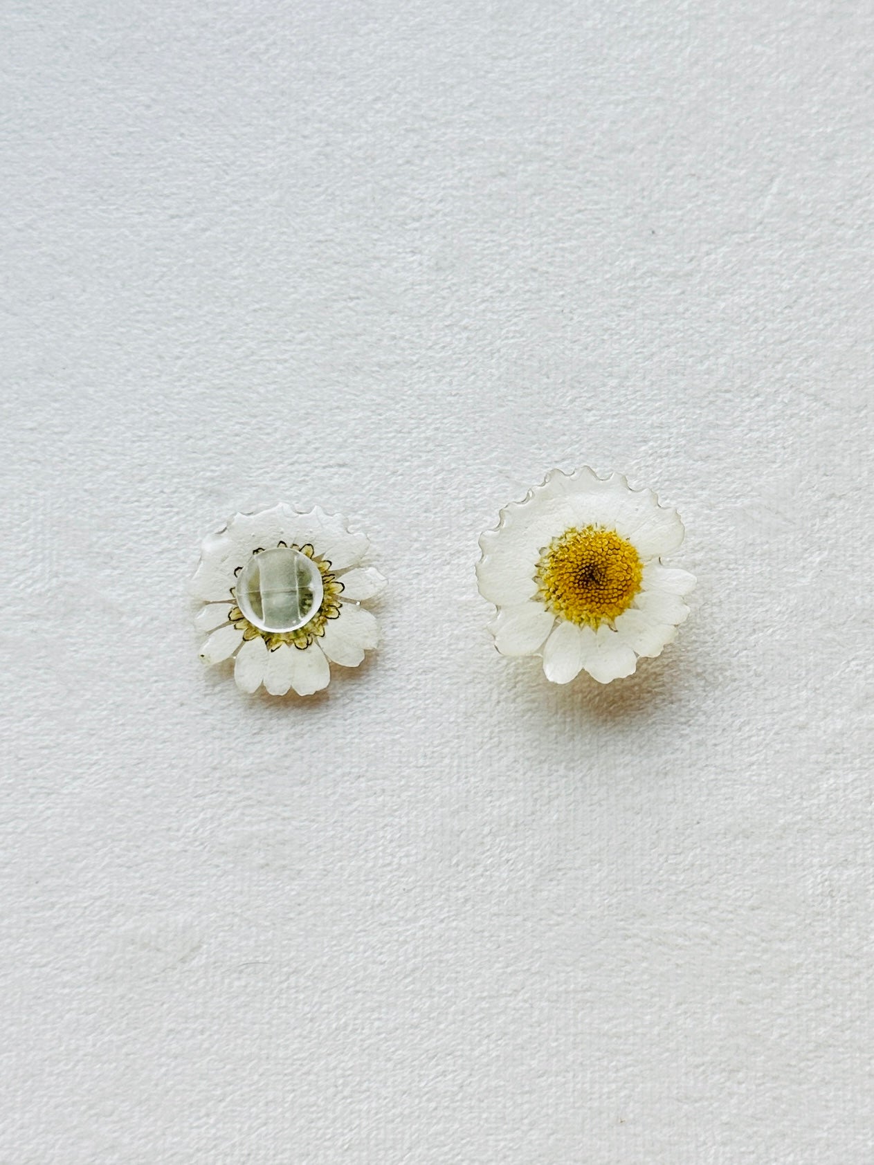 Daisy Croc Charms