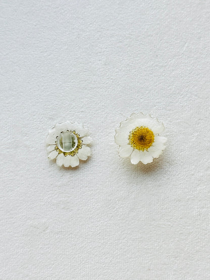 Daisy Croc Charms