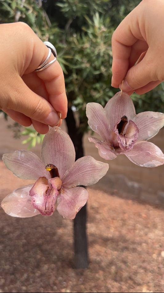 Cymbidium Orchid Earrings