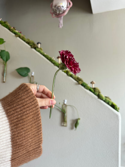 Burgundy Carnation Hair Sticks