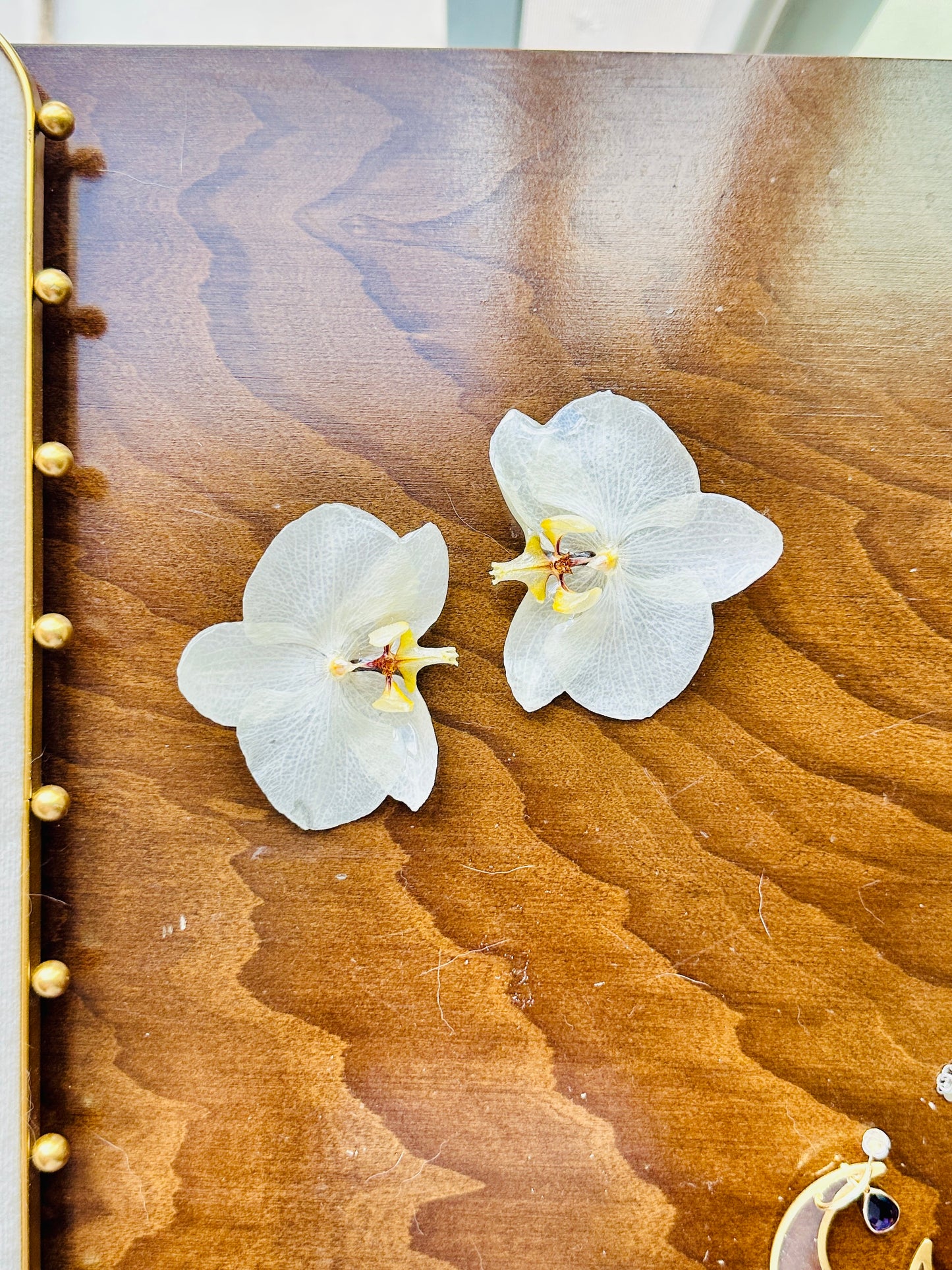 Sideways Orchid Studs