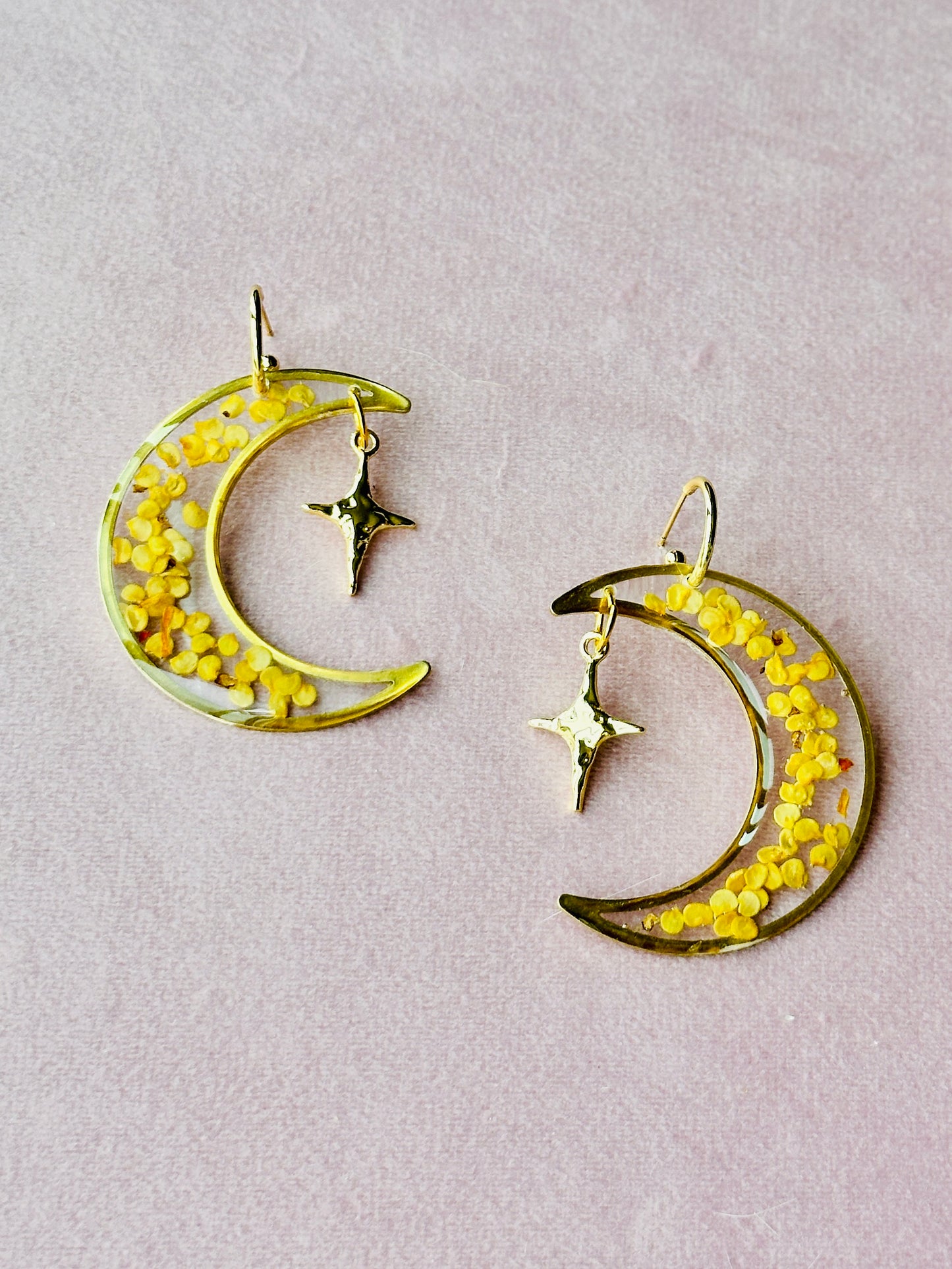 Celestial Chili Seeds