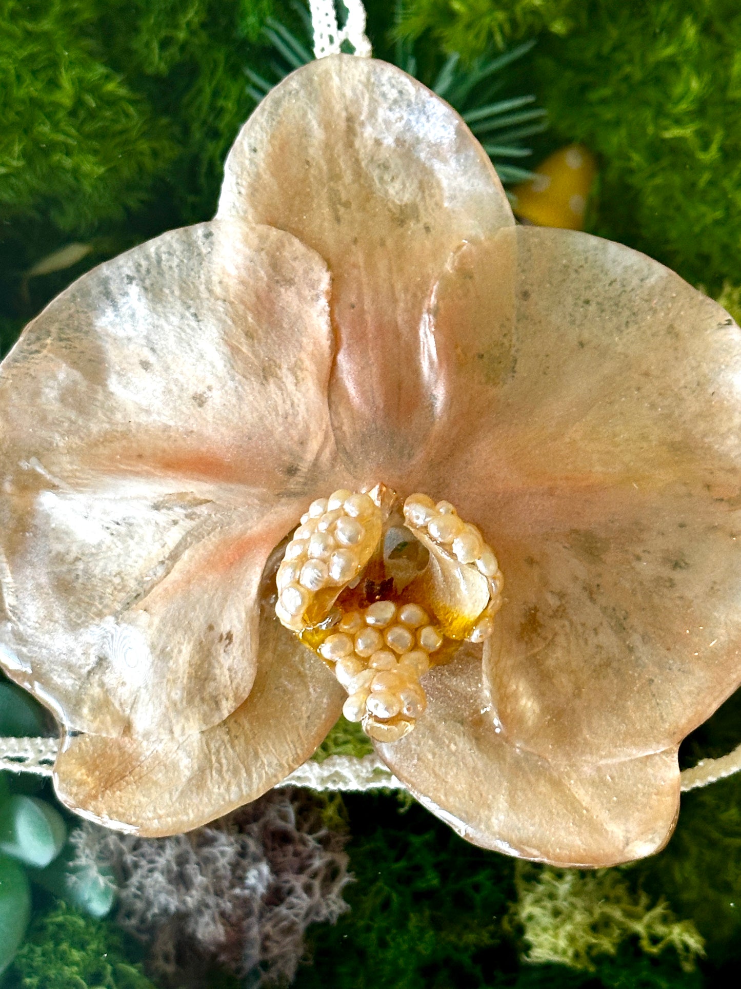 Peachy Pearl Orchid Bralette