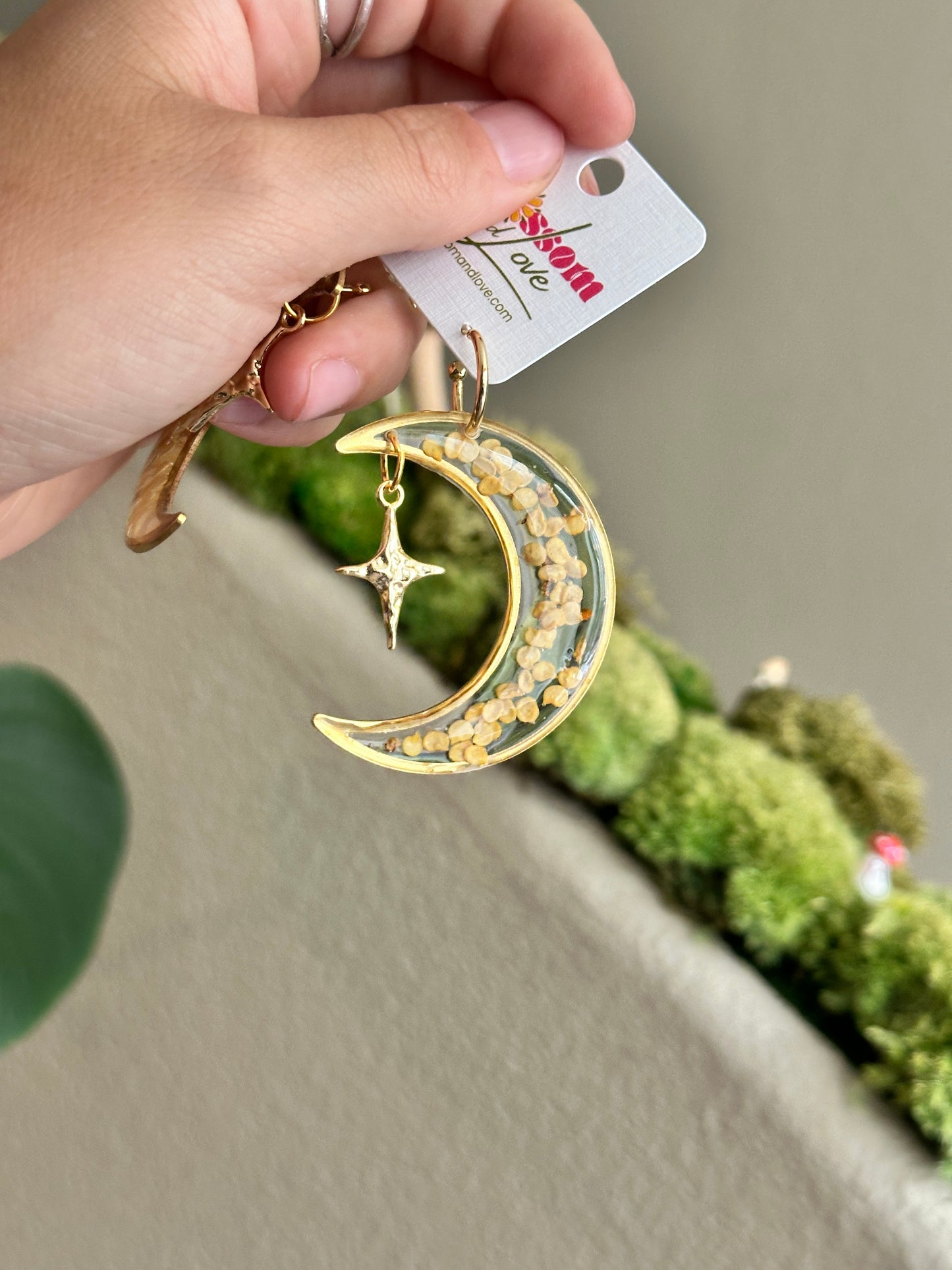 Celestial Chili Seeds