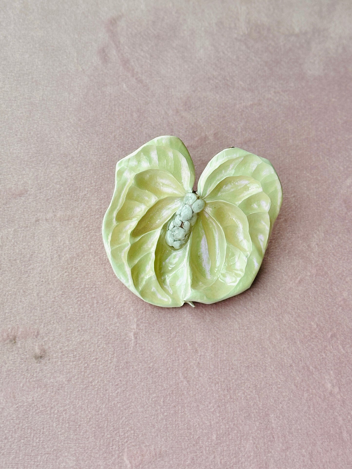 Moonstone Crusted Anthurium