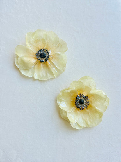 Anemone Studs