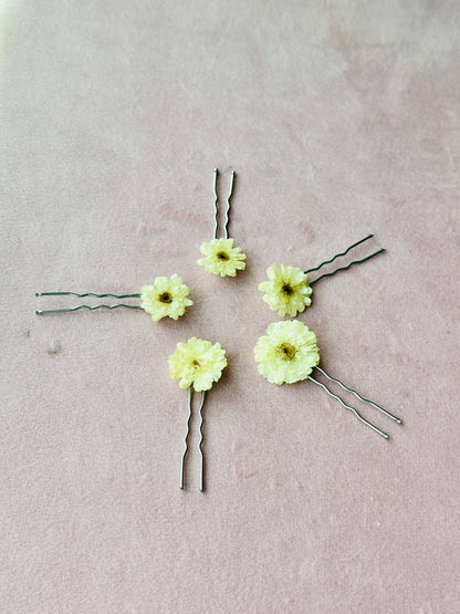 Chamomile Bobby Pins