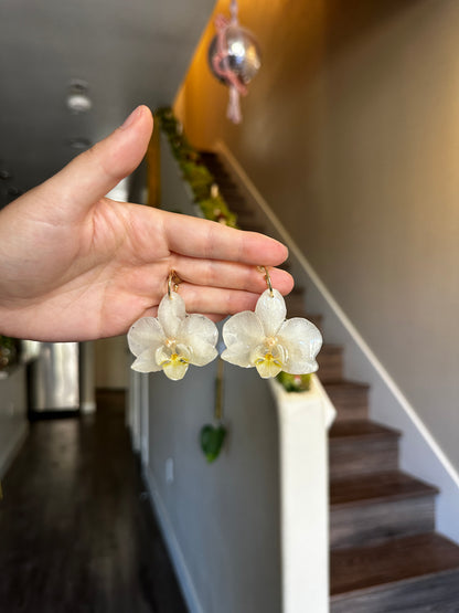 Small White Orchid Huggies