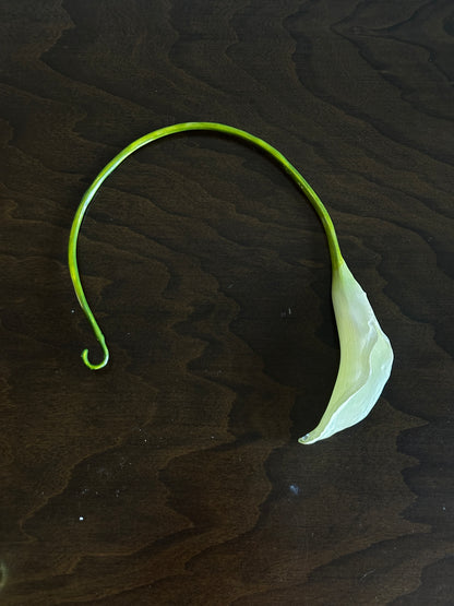 Calla Lily Necklace