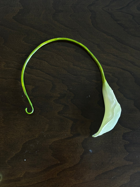 Calla Lily Necklace