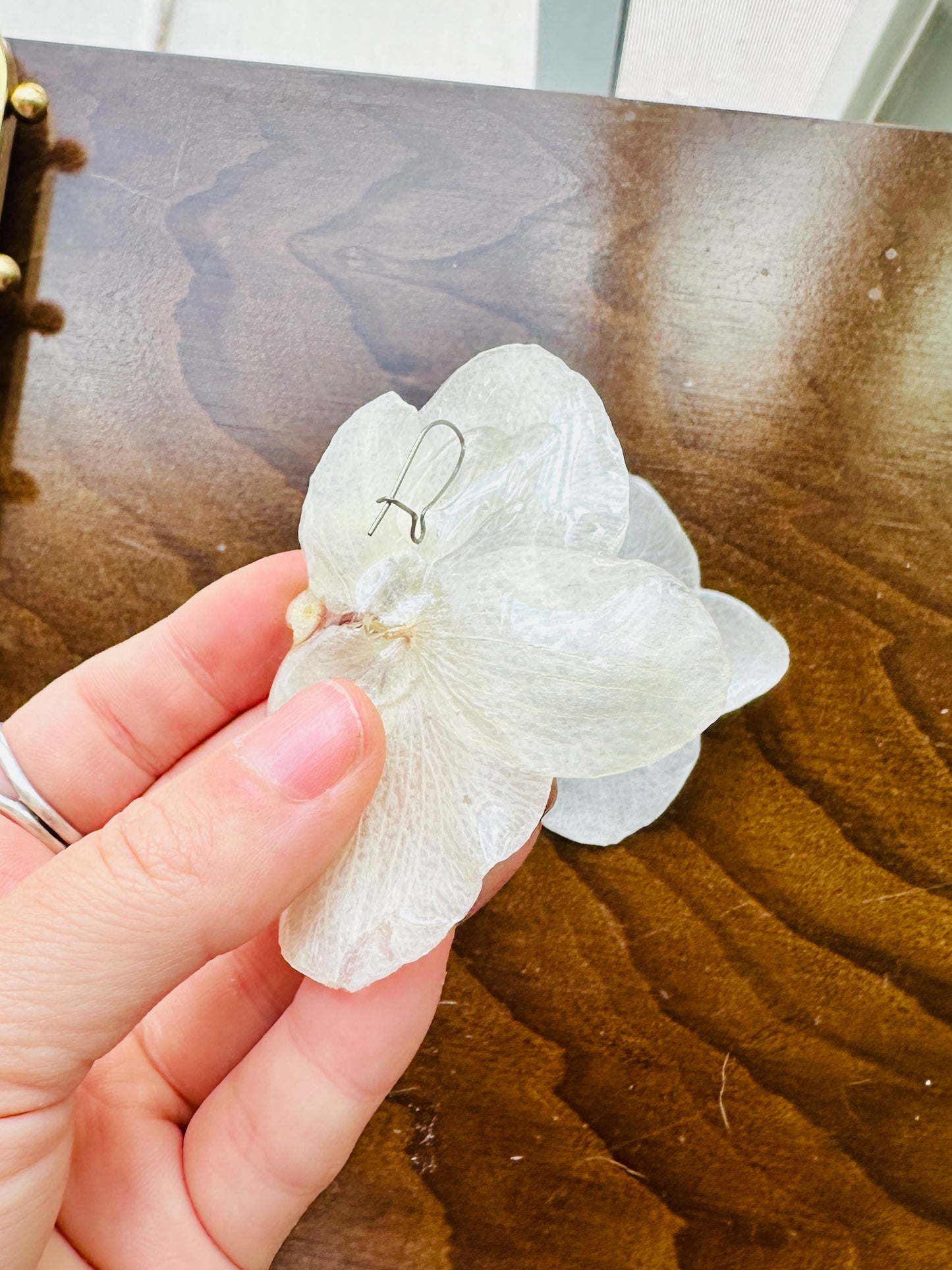 Sideways Orchid Studs