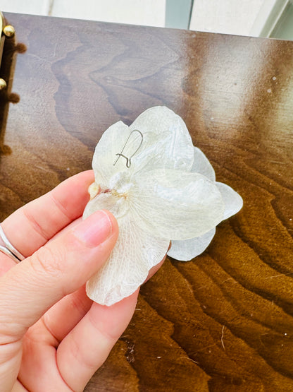 Sideways Orchid Studs