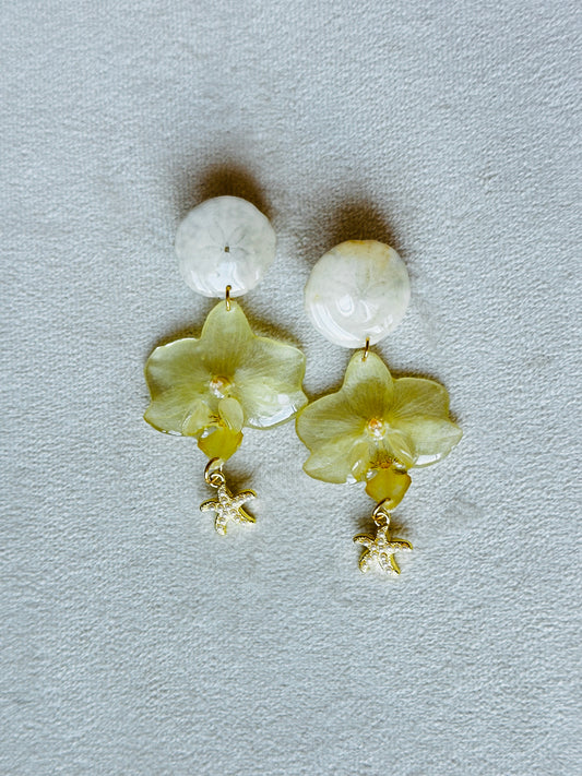 White Orchid Sand Dollar Studs