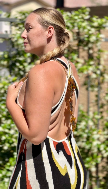 Sunset Gazania with Tigers Eye