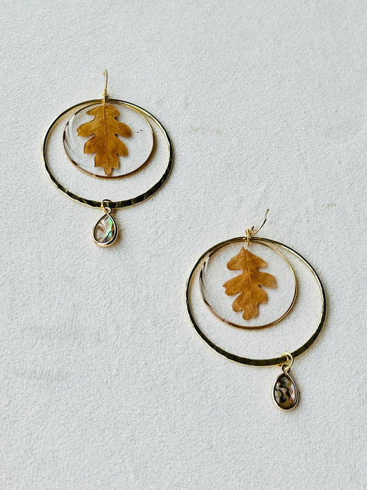 Oak Hoop Dangles