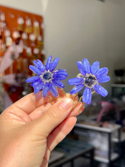 Blue Cineraria Hair Pins