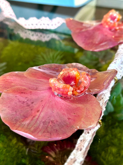 Pink Opal Orchid Bralette