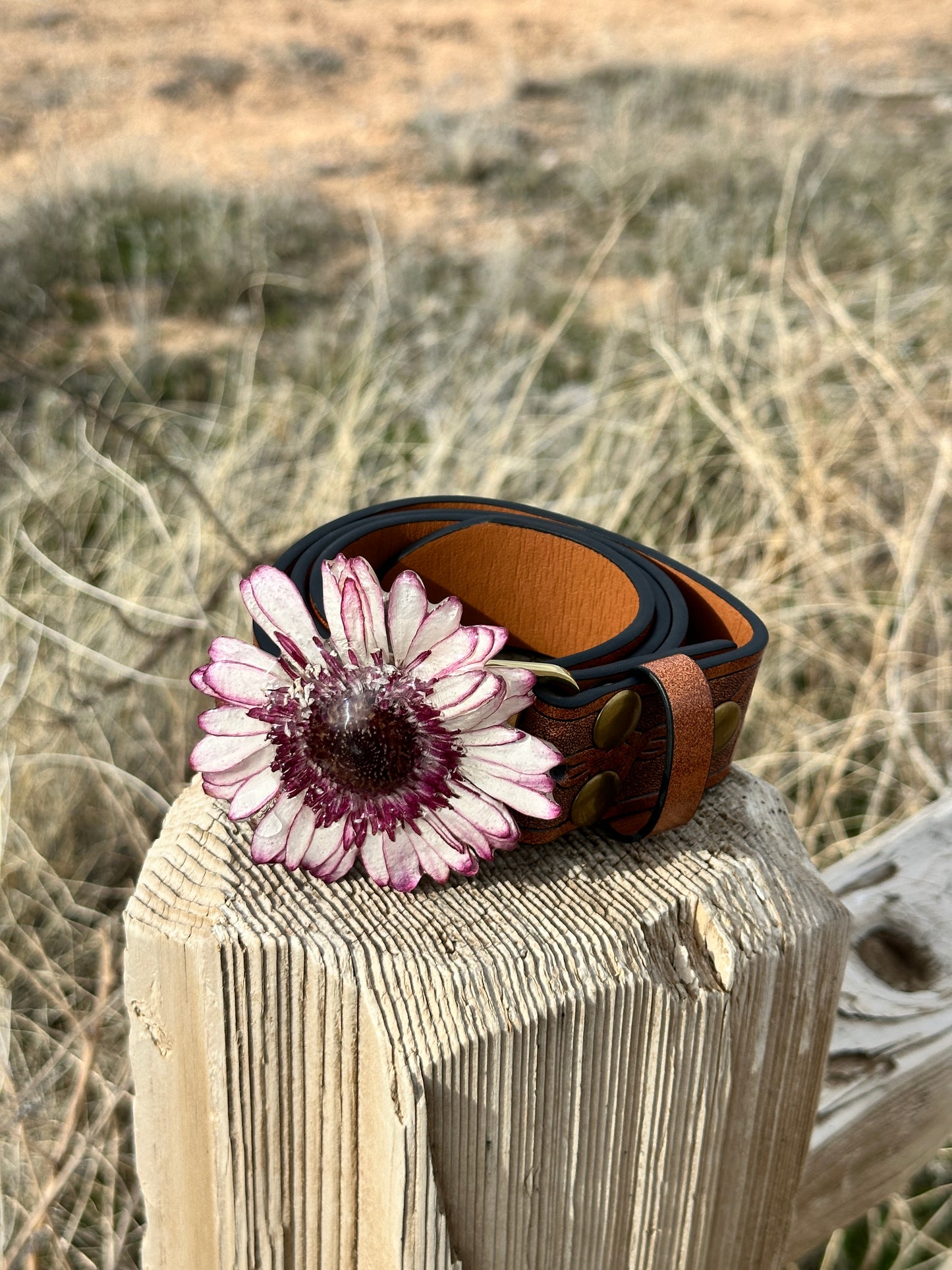 Ombré Purple Gerber Daisy Belt Buckle