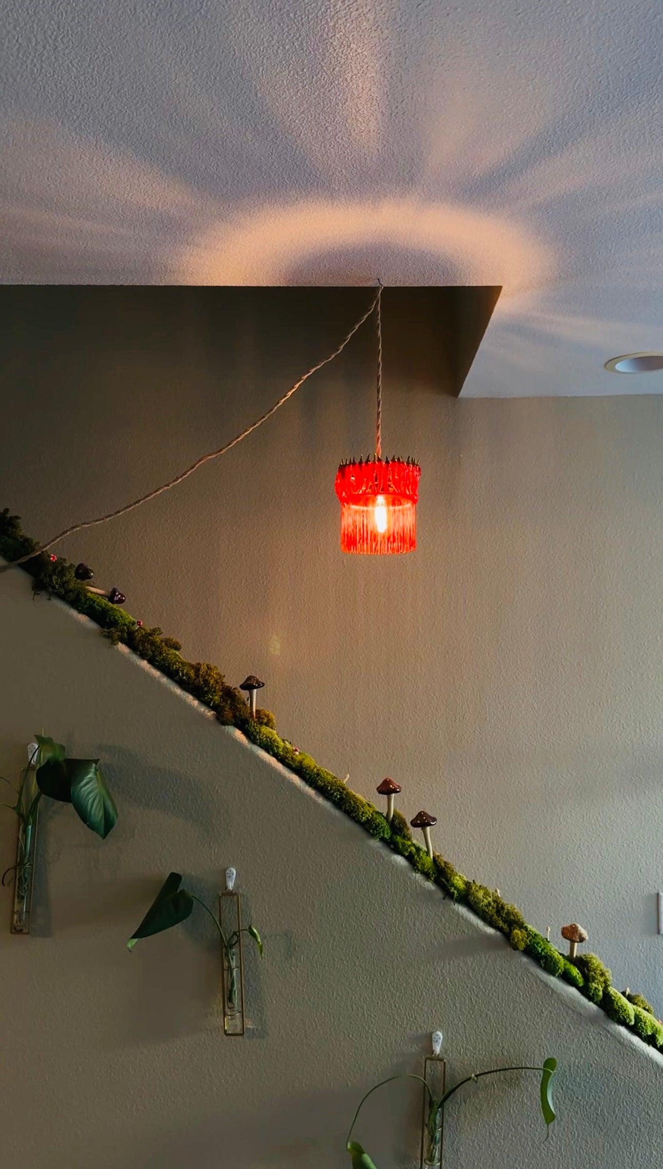 Chili Pepper Lamp