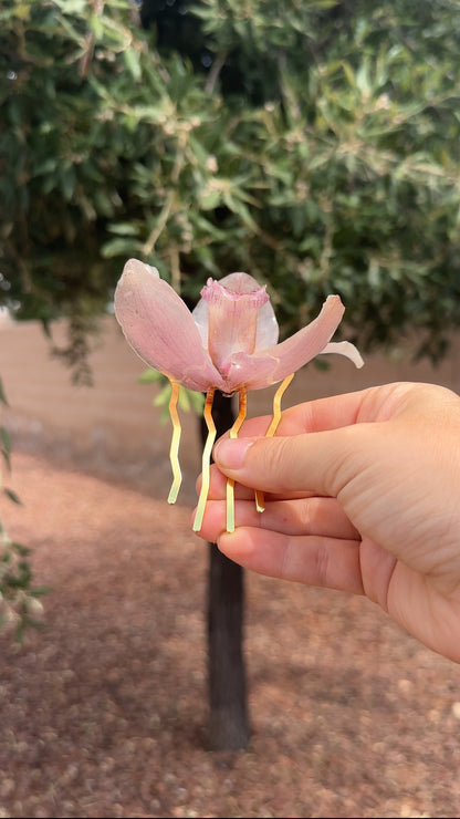 Cymbidium Orchid Hair Pin