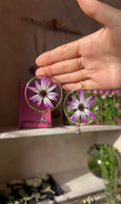Pink Cineraria Hoops Dangles