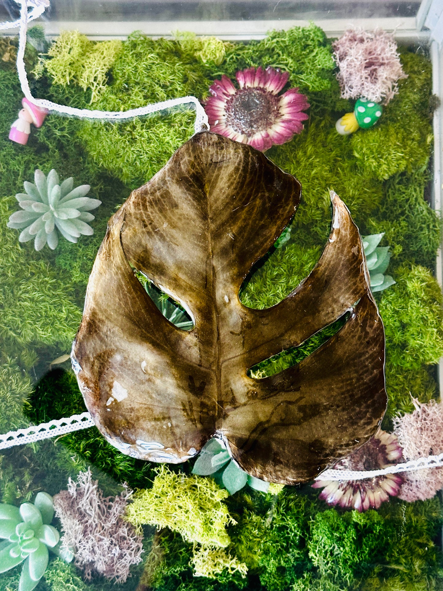 Monstera Bralette