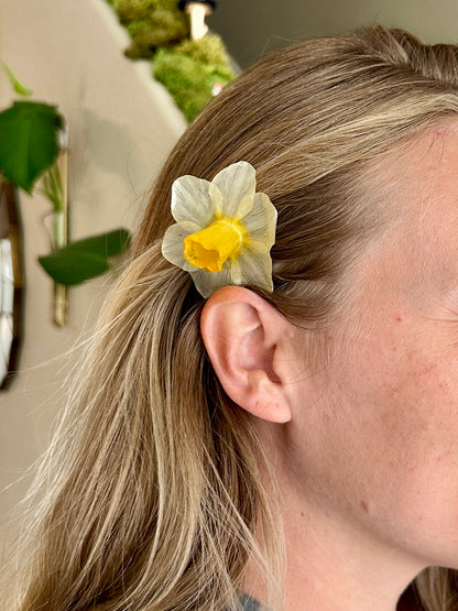 White Daffodil Hair Clip