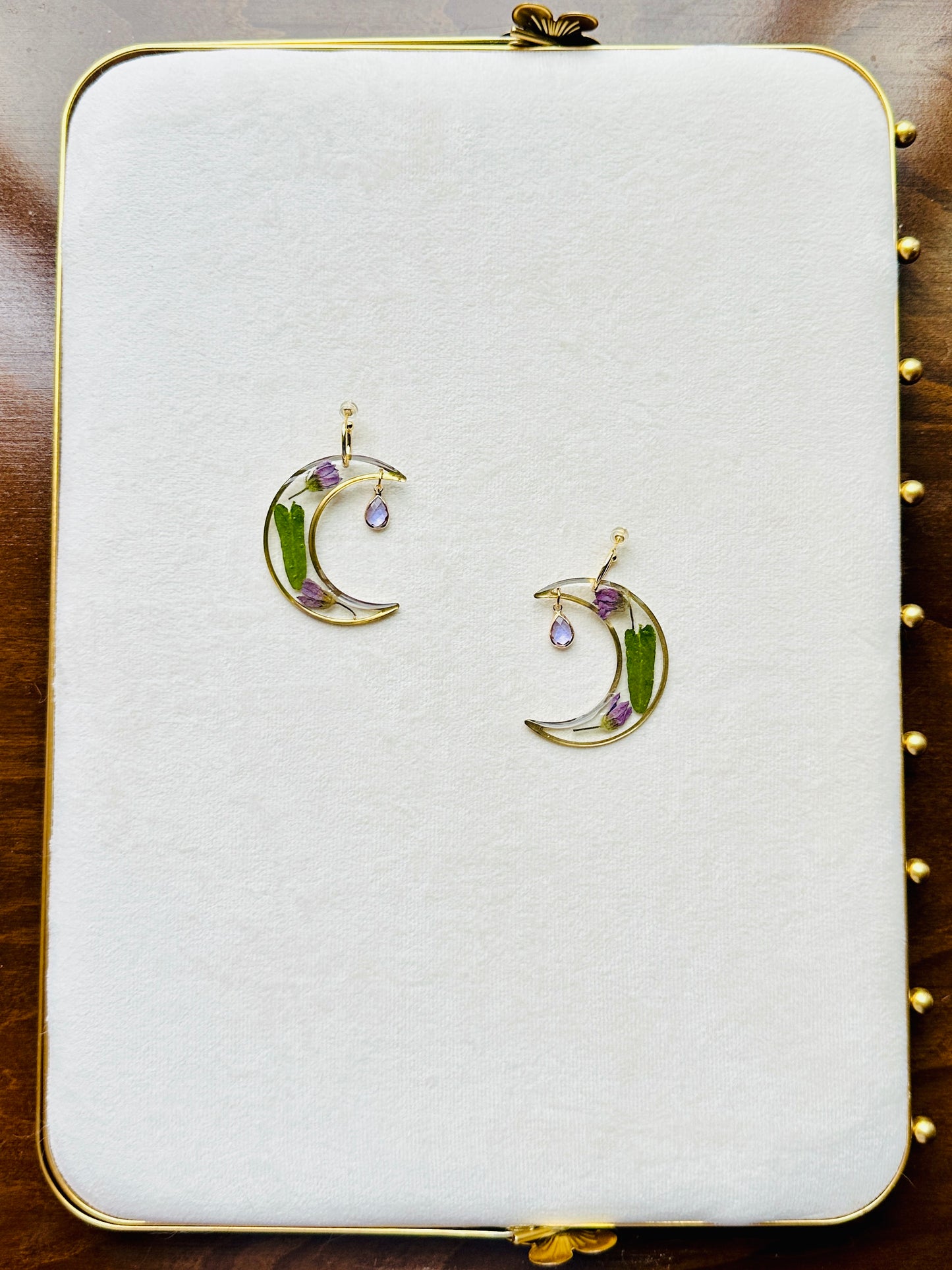 Pressed Olive Leaved Gromwell Moons