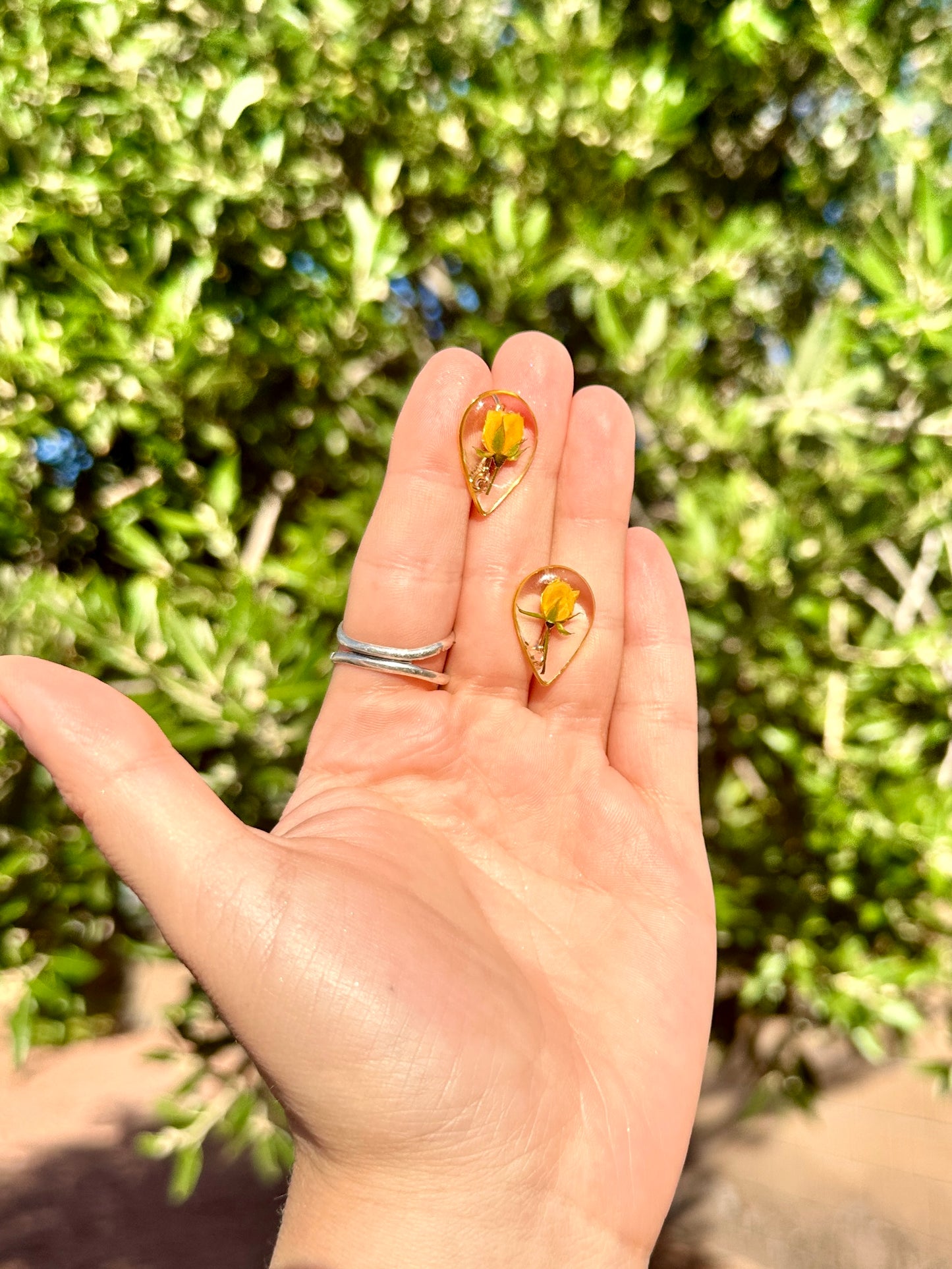 Yellow Rose Bud Studs