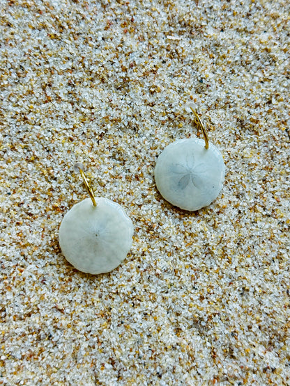 Sand Dollar Huggies