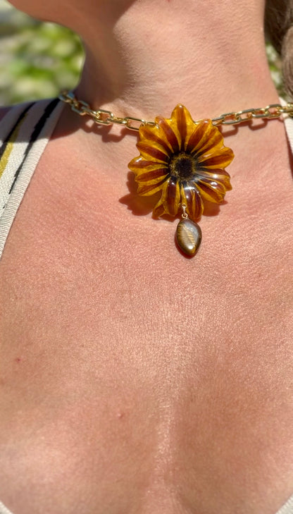 Sunset Gazania with Tigers Eye