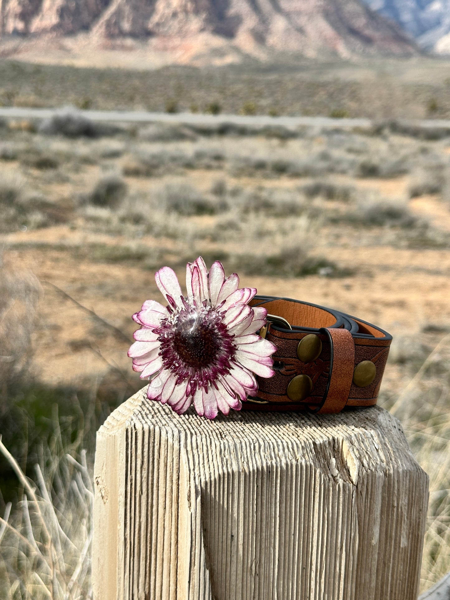 Ombré Purple Gerber Daisy Belt Buckle