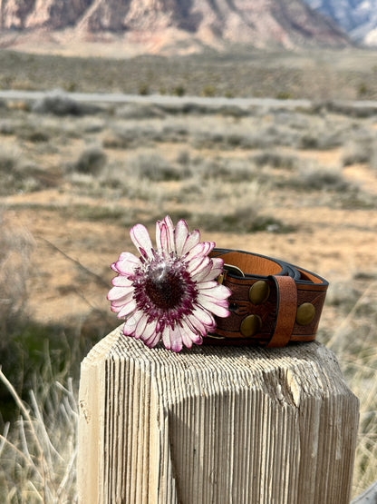 Ombré Purple Gerber Daisy Belt Buckle