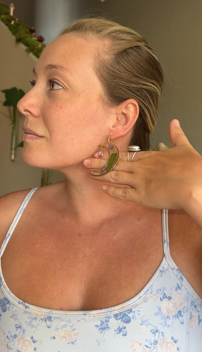 Pressed Olive Leaved Gromwell Moons