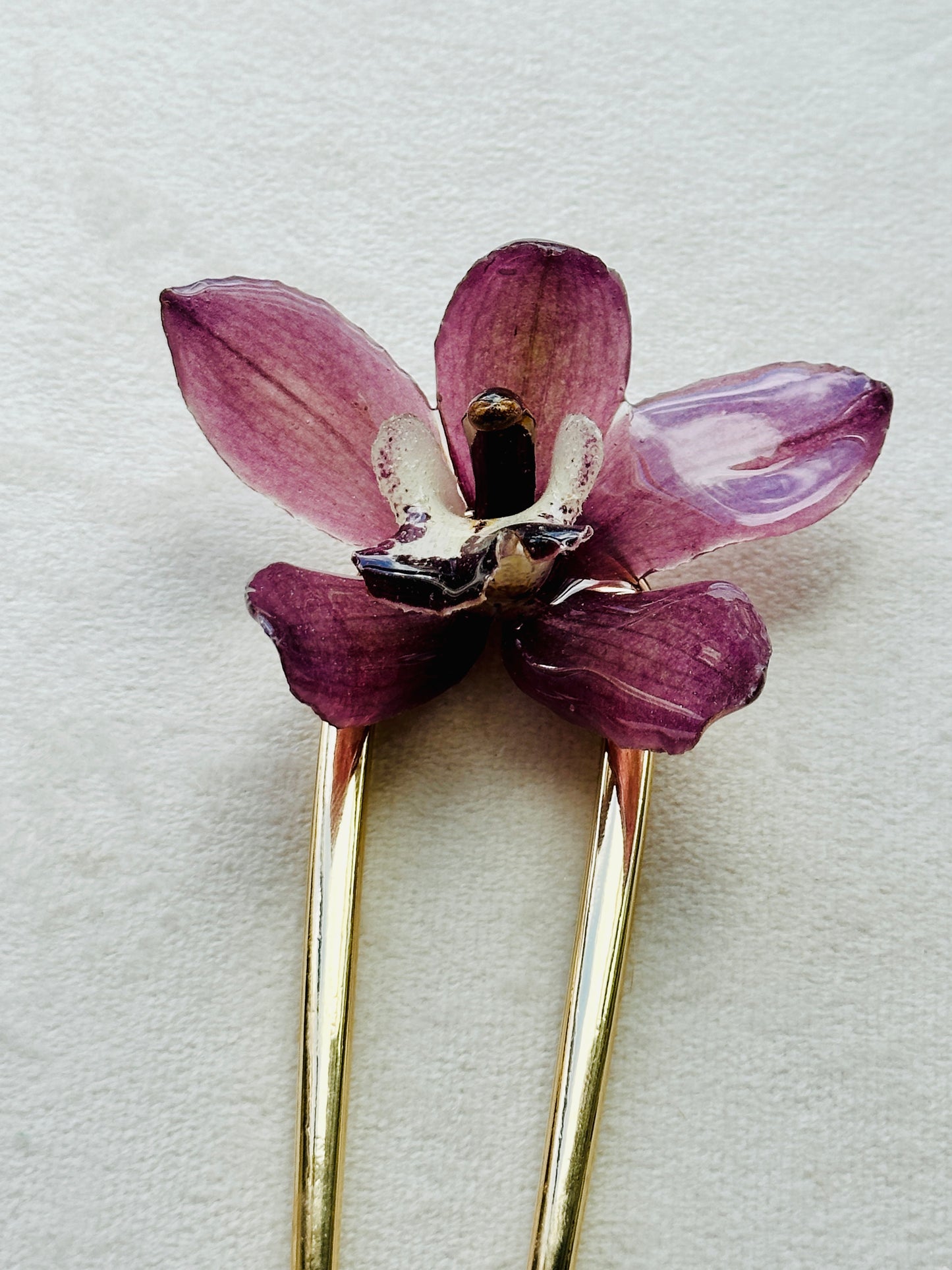 Mini Cymbidium French Pin