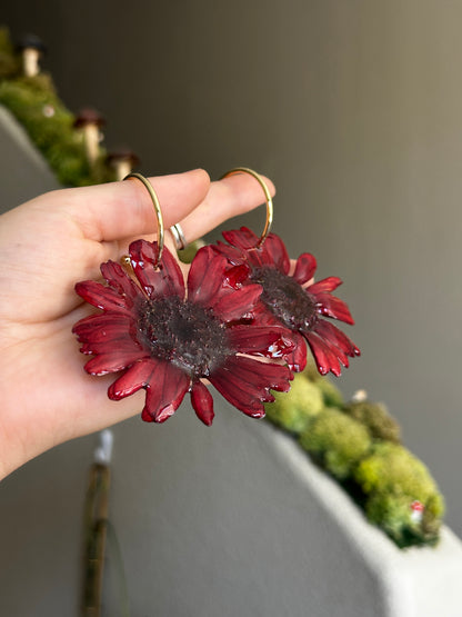 Red Gerber Daisy Hoops