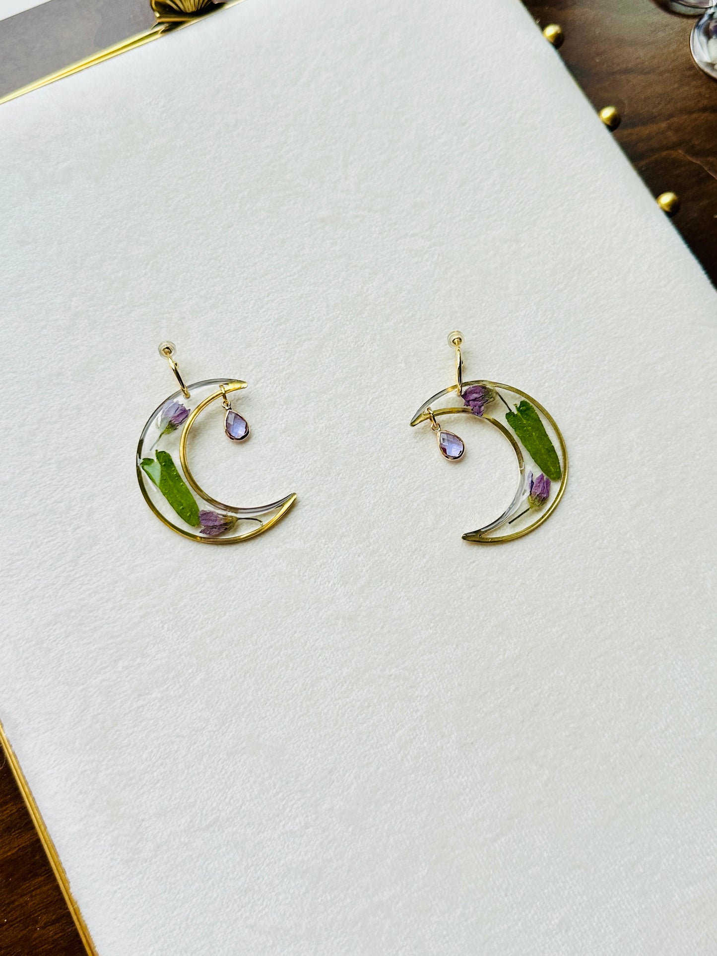 Pressed Olive Leaved Gromwell Moons