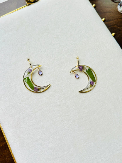 Pressed Olive Leaved Gromwell Moons