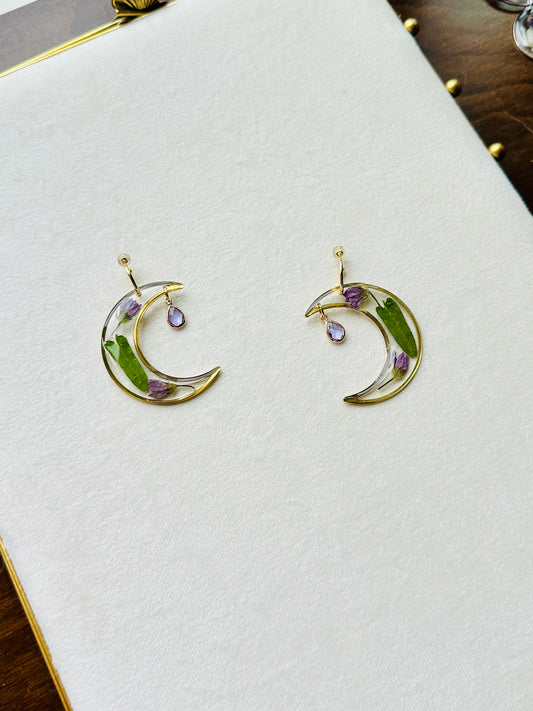 Pressed Olive Leaved Gromwell Moons